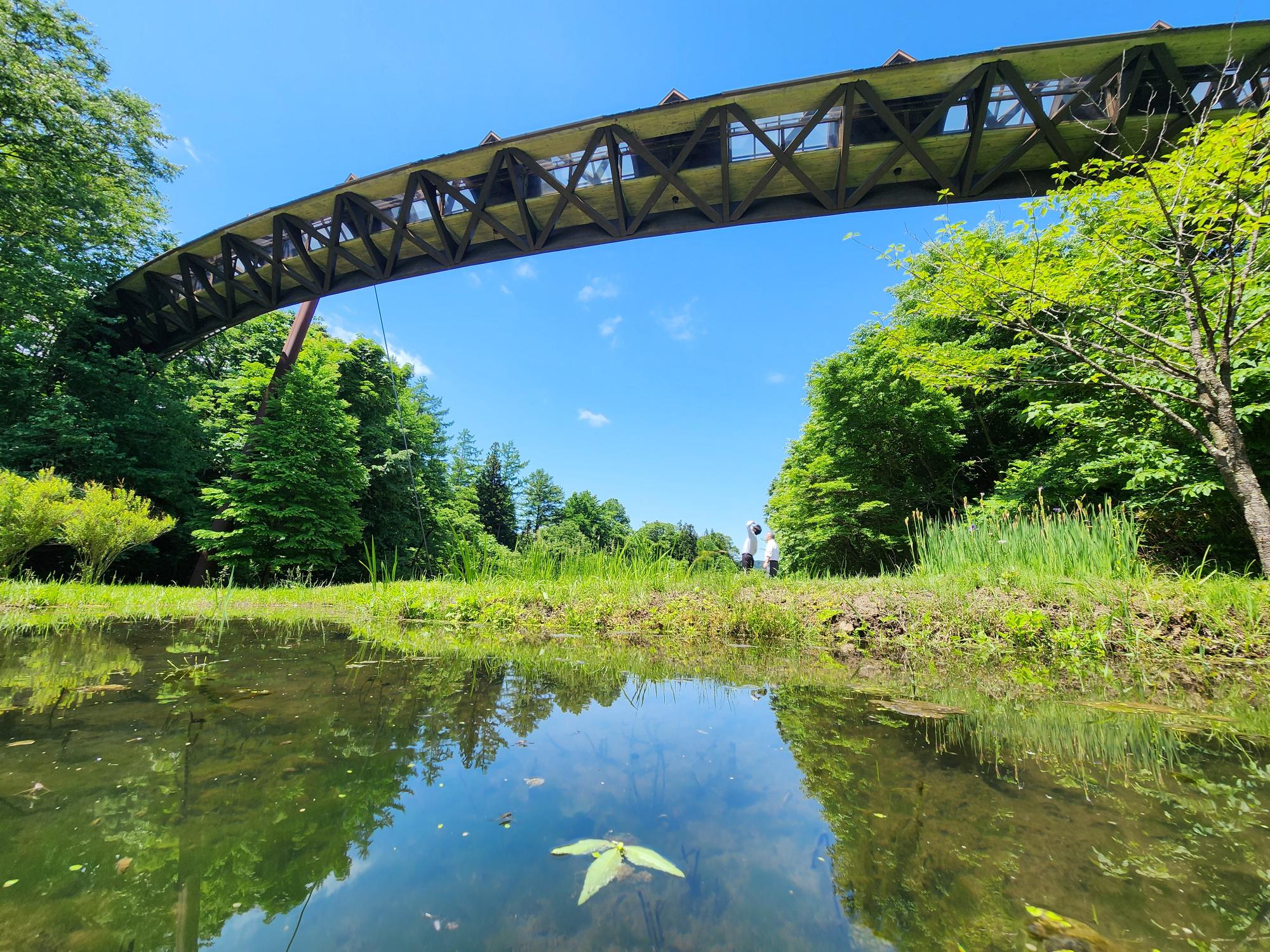 日中のつり橋