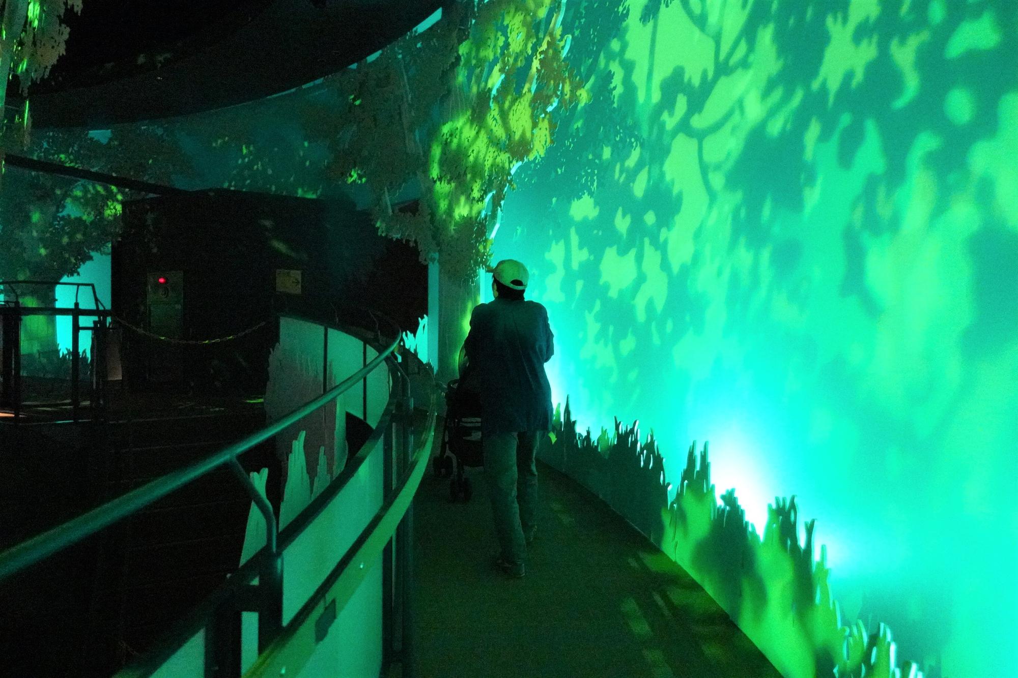 展示室ベビーカー