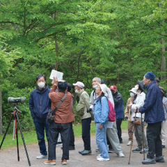 （イメージ）早朝！バードウォッチング