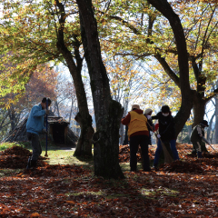 御所野縄文公園 秋のクリーンデー