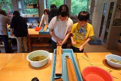 カラムシの繊維を取り出します