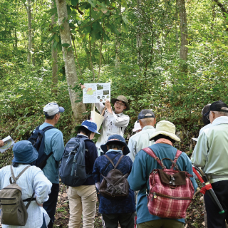 （イメージ）「新緑！春の里山観察会」を開催します（5/10）